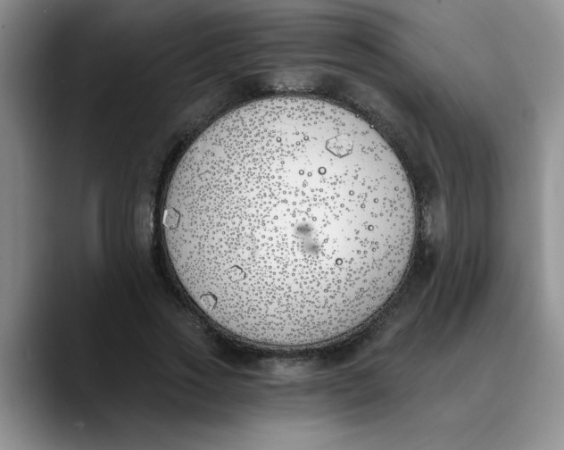 X0000089830733200707191825