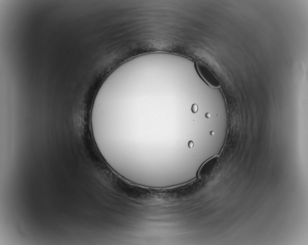 X0000089830736200707191825