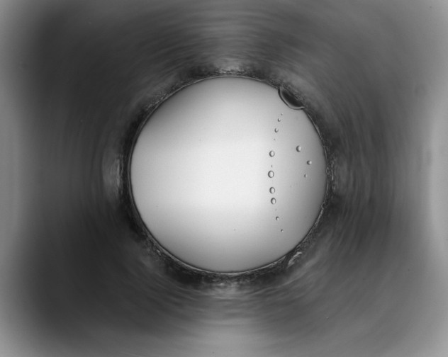 X0000089830740200707191825