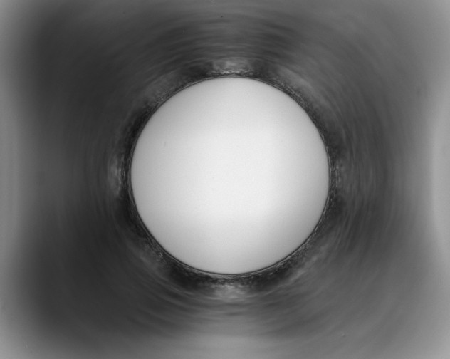 X0000089830741200707191825