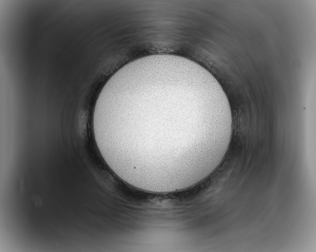 X0000089830742200707191825