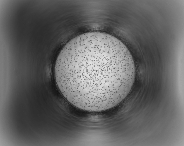 X0000089830746200707191826