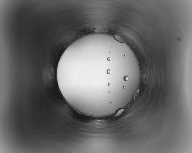 X0000089830748200707191826