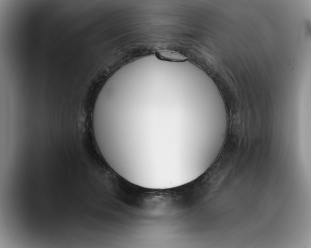 X0000089830750200707191826