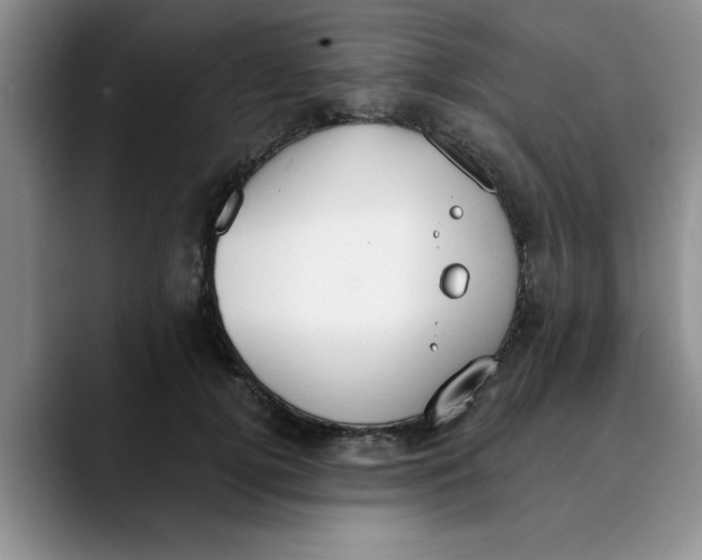 X0000089830752200707191826