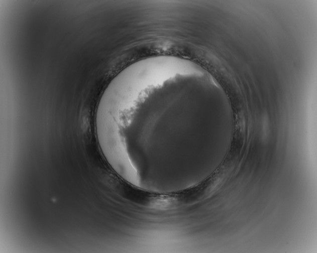 X0000089830754200707191826