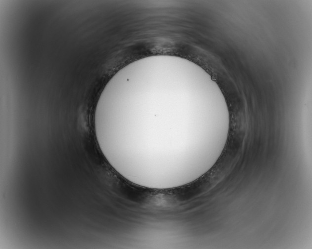 X0000089830755200707191826