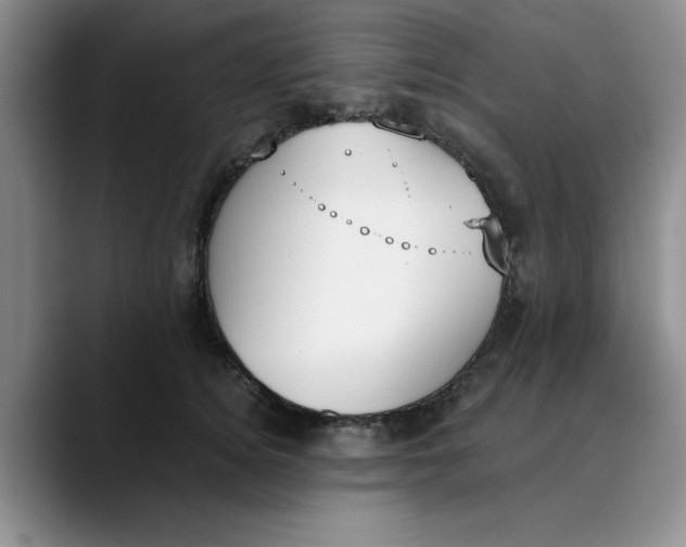 X0000089830756200707191826