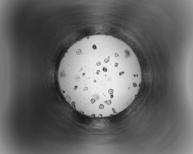 X0000089830757200707191826