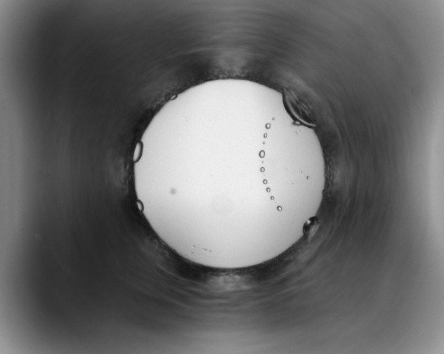 X0000089830759200707191826