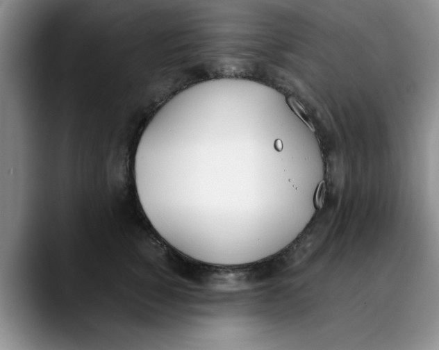 X0000089830760200707191826