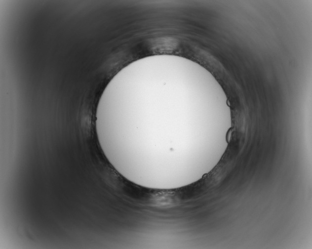 X0000089830761200707191826