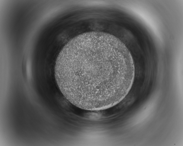 X0000089830765200707191826