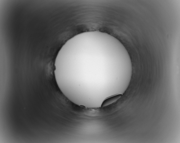 X0000089830768200707191826