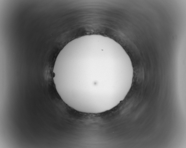 X0000089830770200707191825