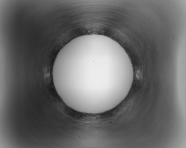 X0000089830771200707191825