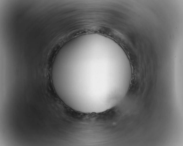 X0000089830773200707191825