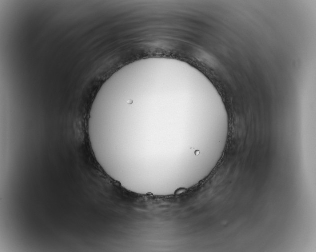 X0000089830774200707191825