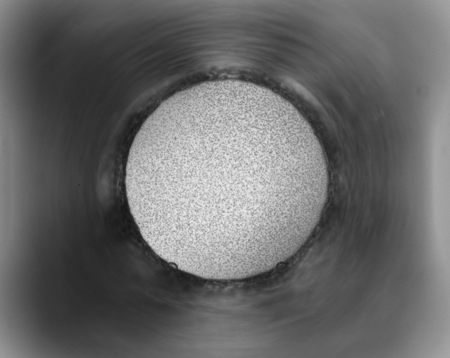 X0000089830775200707191825