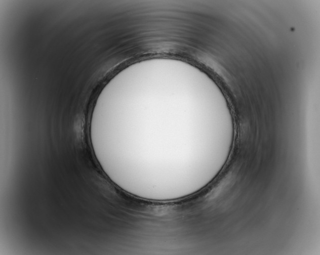 X0000089830778200707191825