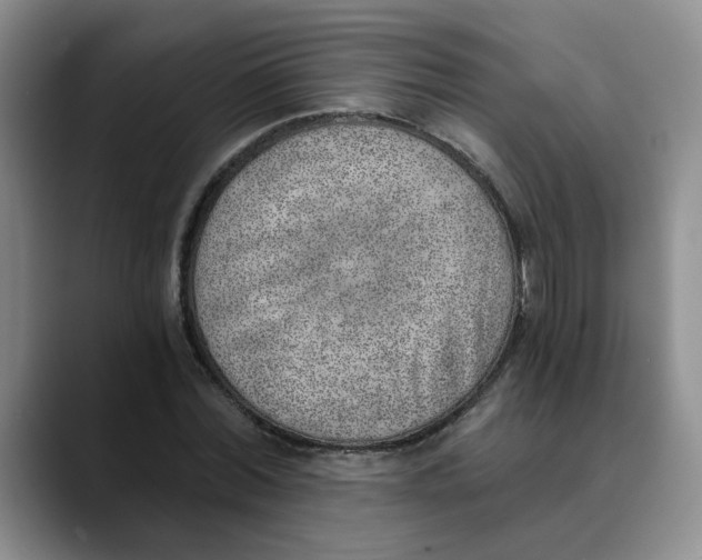 X0000089830780200707191825