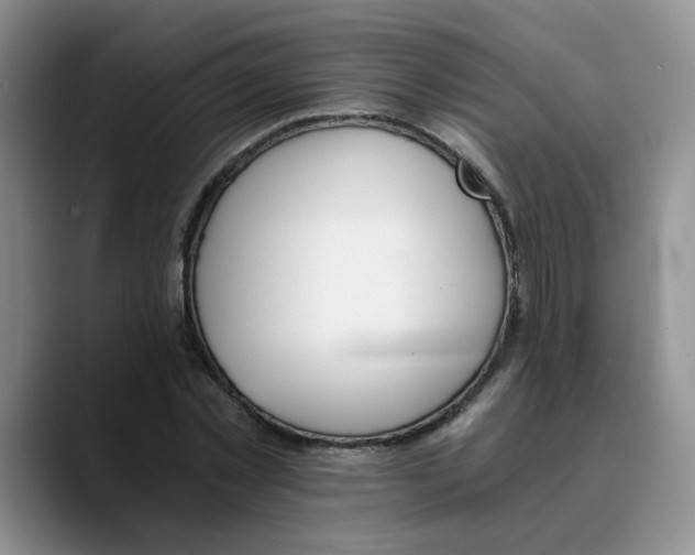 X0000089830781200707191825