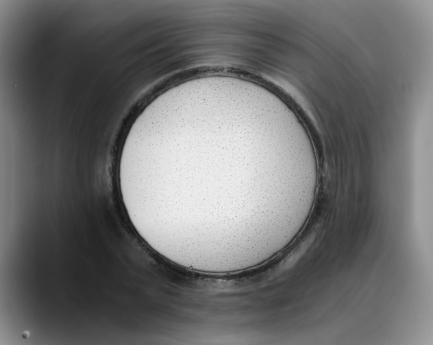 X0000089830783200707191825