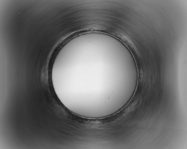 X0000089830784200707191825