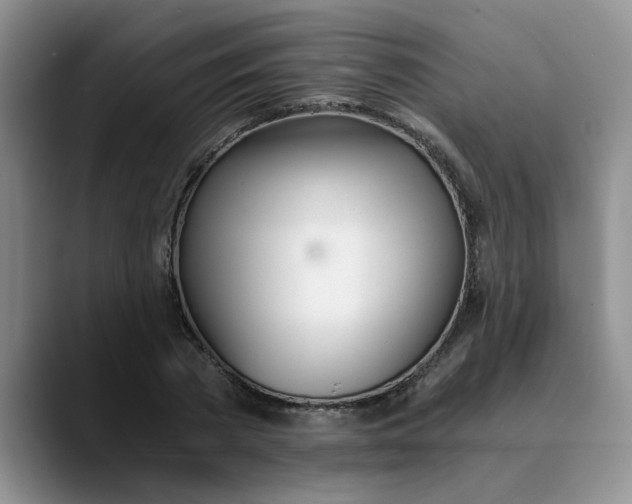 X0000089830785200707191825