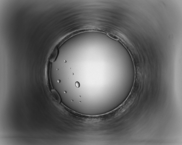 X0000089830788200707191825