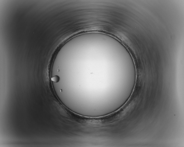 X0000089830789200707191825