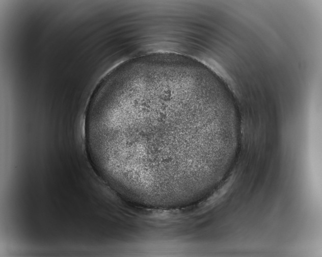 X0000089830790200707191825