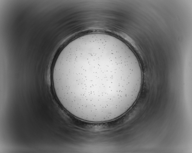 X0000089830791200707191825