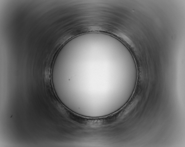 X0000089830793200707191825