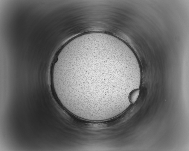 X0000089830795200707191825