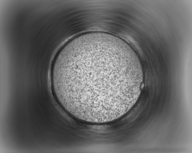 X0000089830796200707191825