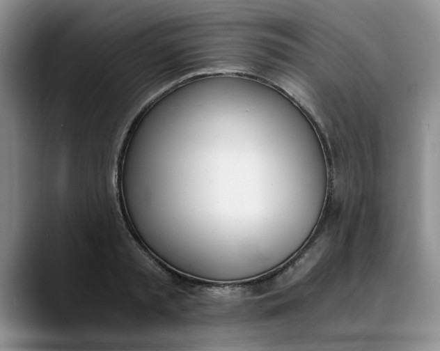 X0000089830797200707191825