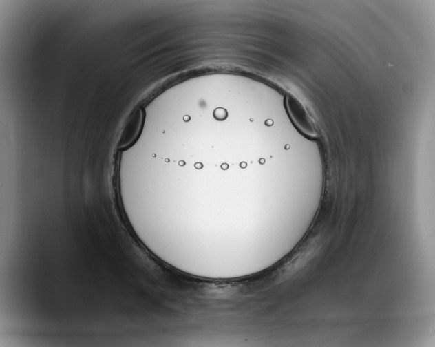 X0000089830799200707191825