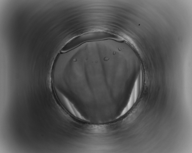 X0000089830802200707191825