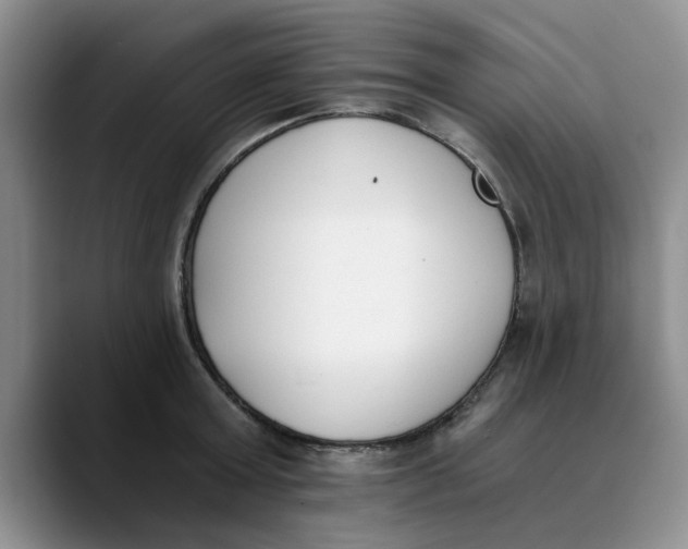 X0000089830803200707191825