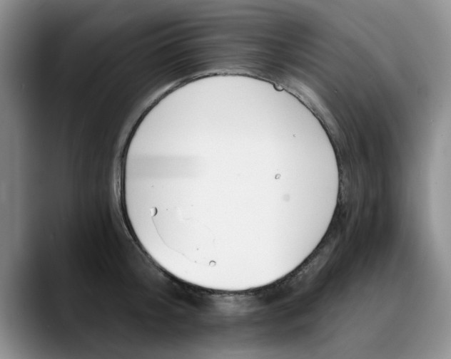 X0000089830804200707191825