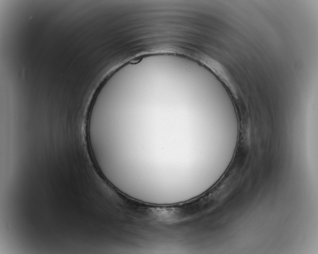 X0000089830805200707191825