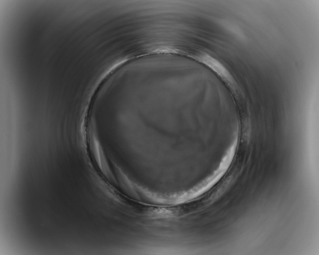 X0000089830806200707191825