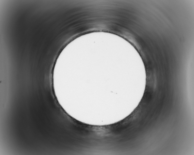 X0000089830807200707191825