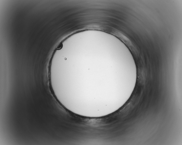 X0000089830808200707191825