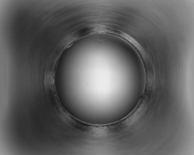 X0000089830809200707191825