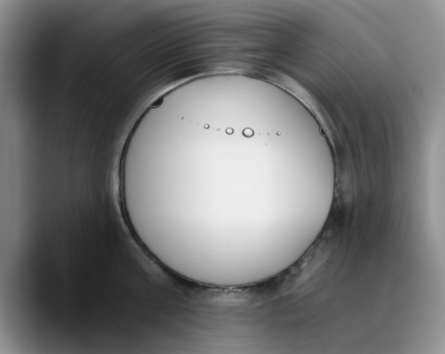 X0000089830811200707191825