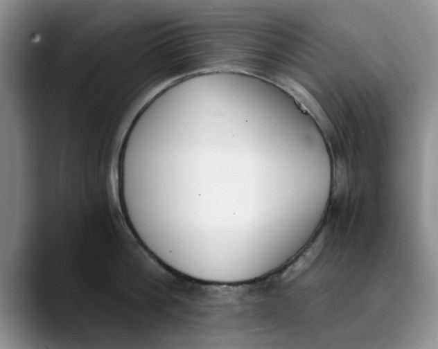 X0000089830812200707191825