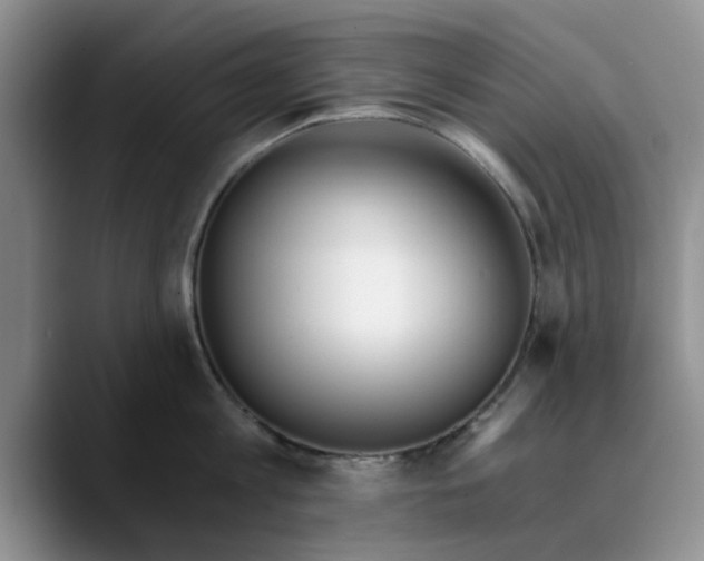 X0000089830813200707191825