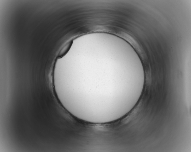 X0000089830814200707191825